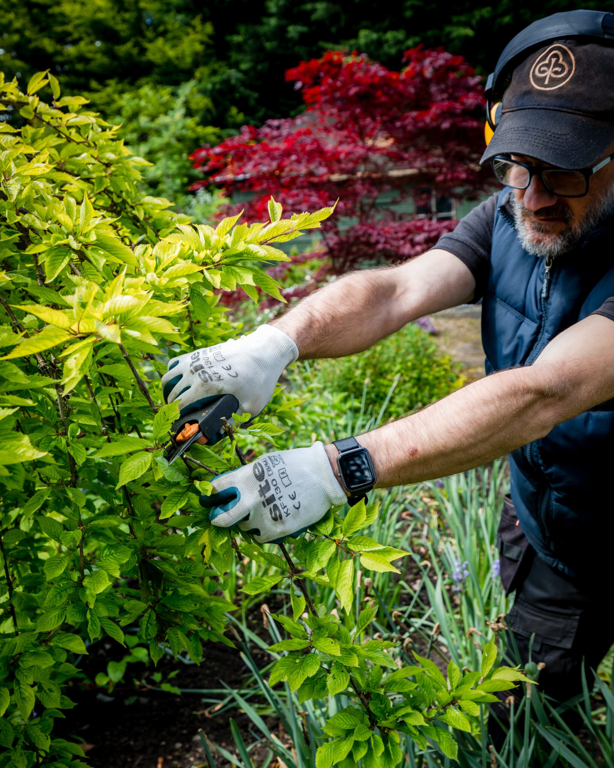 Grassgo Gardeners Glasgow