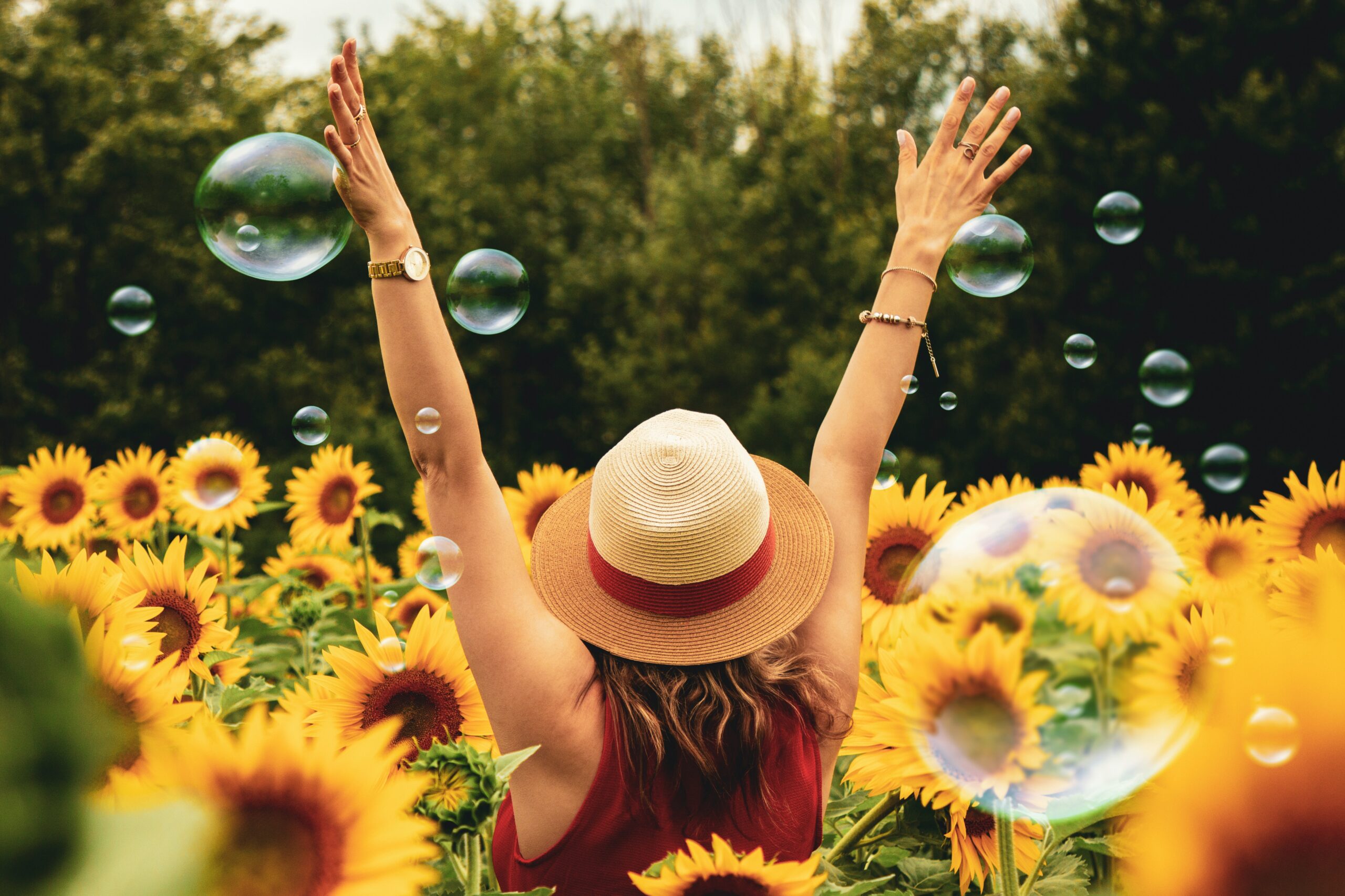 Enjoy your Garden