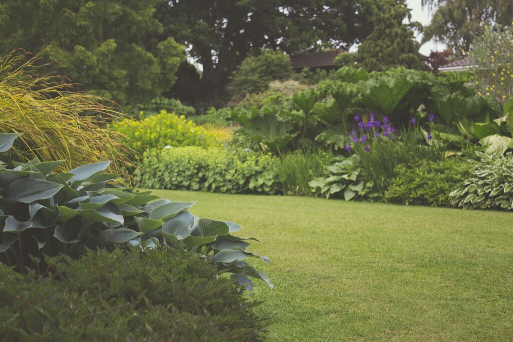 grass-cutting-services